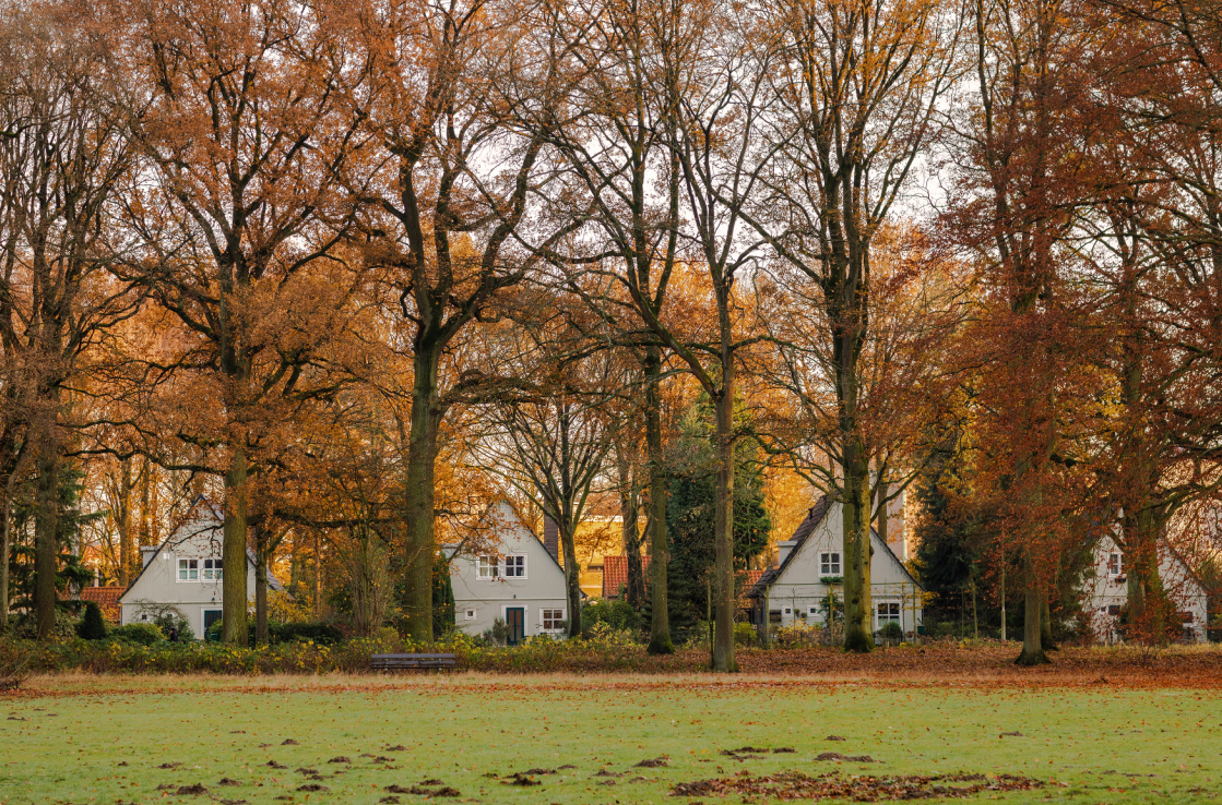 Eindhoven forest